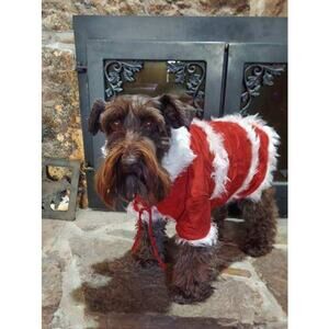 NWT Christmas Red Santa Dog Jacket Size Medium 12"-14" Dogs
